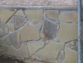 /album/fotogaleria/dsc00485-jpg/